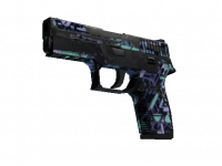 P250 Digital Architect